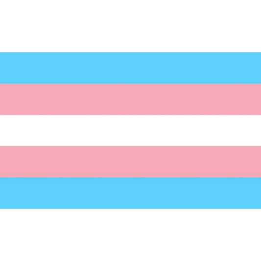 PRIDE - BANDERA 90 X 150 TRANSEXUAL