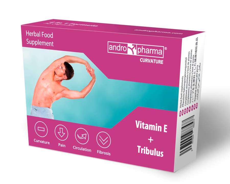 https://dreamlove.gesio.be/productos/imagenes/img_83015_04e6cf1525a94c3d3cc2a18382e5da30_1.png